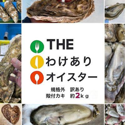 ふるさと納税 厚岸町 THE訳ありオイスター 規格外 牡蠣 約2kg  殻付カキ 「マルえもん」(1箱11個〜25個入り)