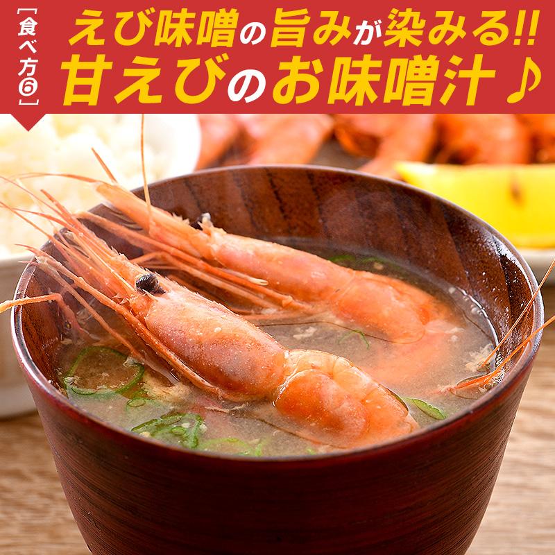 甘エビ 甘えび 子なし 小 刺身 1kg 500g×2箱 約80〜100尾 冷凍 越前甘エビ 福井県 お歳暮 ギフト