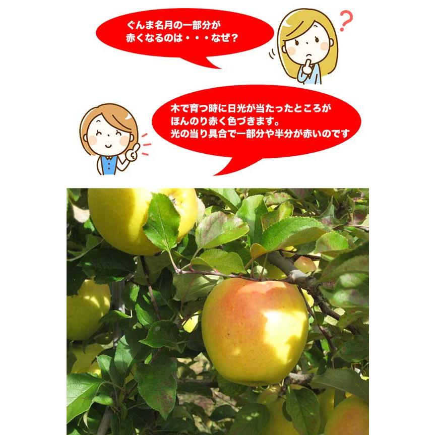 りんご 青森県産 ぐんま名月 5kg 秀品 林檎 リンゴ お取り寄せ フルーツ 果物 アップル 贈答用 青森県産 ぐんまめいげつリンゴ 送料無料