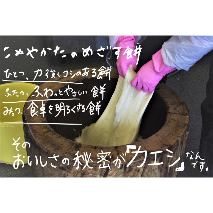 人力！杵つき餅 杵つき女もち　12個入（450ｇ）