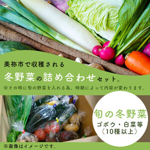 美祢市産 冬野菜の詰め合わせセット