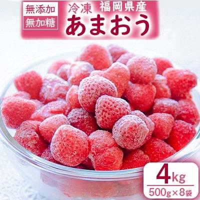 ふるさと納税 大野城市 冷凍あまおう　4kg(500g×8袋)