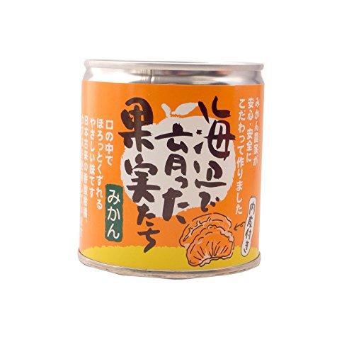 みかん缶詰　海辺で育った果実たち（愛媛産みかん100%使用） ×3缶セット