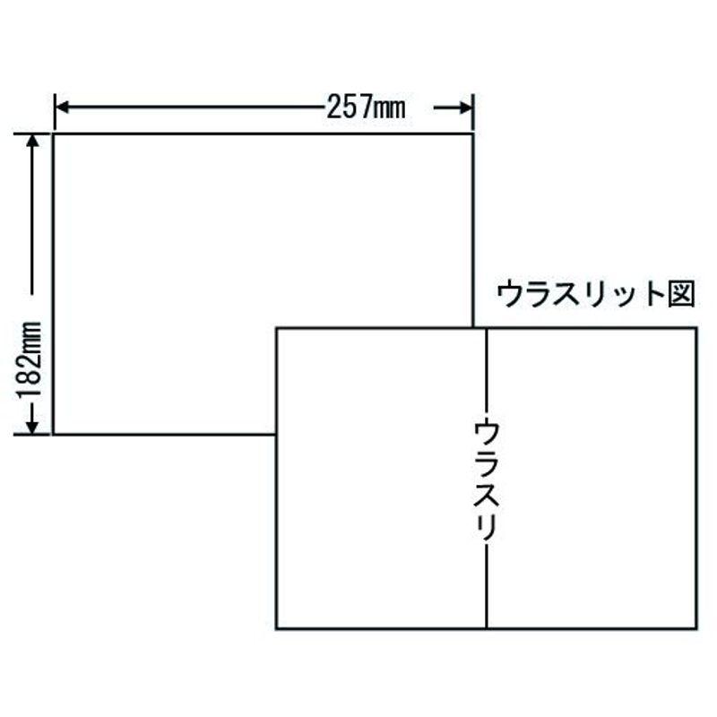 東洋印刷 シートカットラベル B5版 1面付(1ケース1000シート) C1B5F