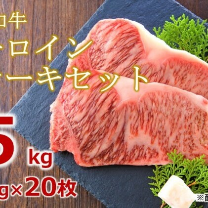 牛肉 サーロインステーキ 合計5kg 博多和牛 A4～A5 セット 250g×20枚 配送不可：離島