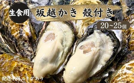 牡蠣 生食用 坂越かき 殻付き 20～25個[ 生牡蠣 真牡蠣 かき カキ 冬牡蠣