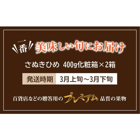 ふるさと納税 香川県オリジナルいちご 「さぬきひめ」 400g化粧箱×2箱_M02-0017 香川県三豊市