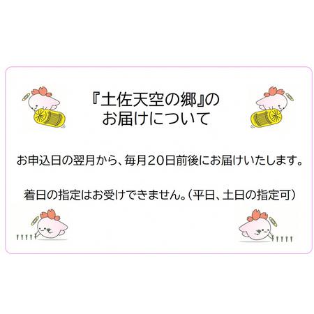 ふるさと納税 ★令和5年産★農林水産省の「つなぐ棚田遺産」に選ばれた棚田で育てられた 土佐天空の郷 ヒノヒカリ10kg 定期便 　毎月お届け　全1.. 高知県本山町