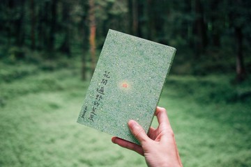 花開遍野的荒原 青青的島 黃斐柔 詩文集