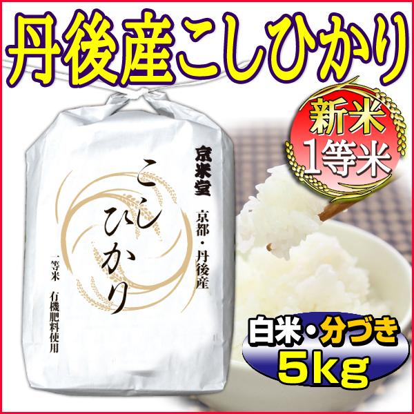 新米 お米 5kg こしひかり 白米 分づき 京都米 丹後産 一等米 当日精米 令和5年産