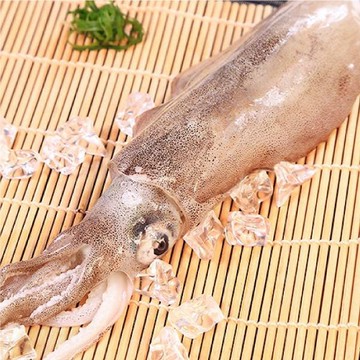 【梓官區漁會】急凍超嫩天使軟絲300g(1尾)/包