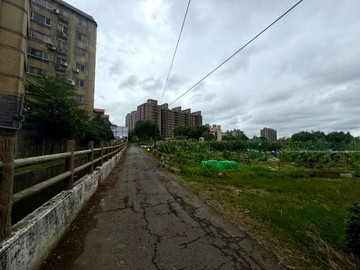 龍山國小都計田｜桃園市桃園區龍壽段