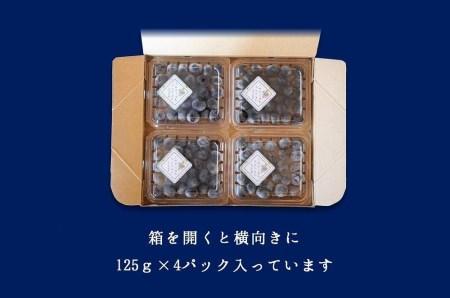 樹上完熟フレッシュブルーベリー （無農薬・殺虫剤不使用） 125ｇ×4