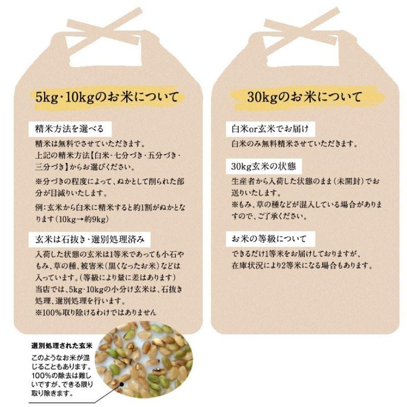 令和5年産 滋賀県産コシヒカリ5Kg玄米  お好きな分つきに 健康応援 送料無料 一部除く