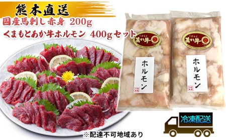 馬刺し 赤身 あか牛 ホルモン セット 国産 熊本直送 馬刺 馬肉 肉 お肉 冷凍 配送不可：離島