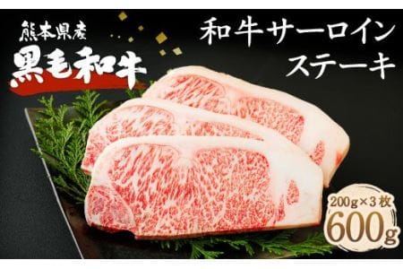 熊本県産 黒毛和牛 サーロイン ステーキ 計600g（200g×3） 国産 牛肉