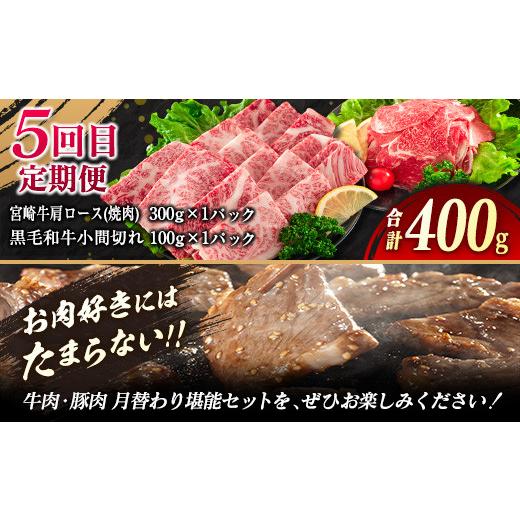 ふるさと納税 宮崎県 日南市 5か月 お楽しみ 定期便 牛肉 豚肉 月替わり 堪能 セット 総重量5.6kg 肉 牛 豚 国産_I25-23-A