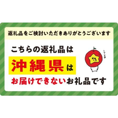 ふるさと納税 りんご サンふじ 家庭用 5kg 沖縄県への配送不可 2023年12月上旬頃から2024年2月上旬頃まで順次発送予定 町田さんちのりんご 長野.. 長野県飯綱町