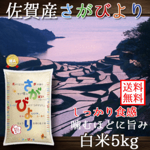 佐賀県産 さがびより 白米 5kg 送料無料 （一部地域除く）