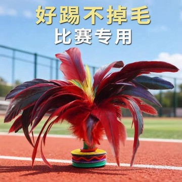 手慢無⚡彩色雞毛毽子 羽毛毽子 花毽/兩個入 雞毛毽子 彩色土雞毛毽子 鍵子 健子 彩色鍵子 比賽專用老式毽球