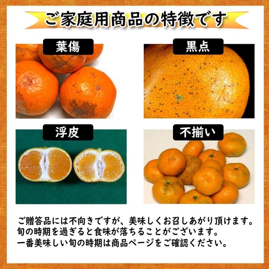 みかん 箱買い 興居島みかん 興居島 みかんの島 2S〜2L 家庭用 約5ｋｇ 送料無料 愛媛みかん