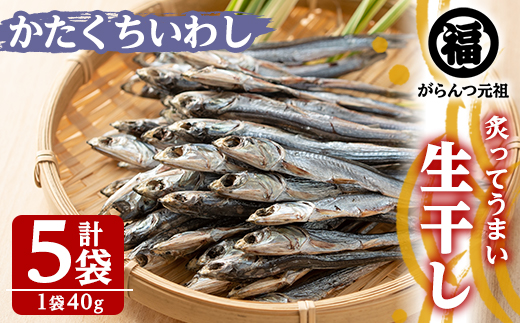 akune-2-211 鹿児島県阿久根市産生干し「かたくちいわし」(計5袋・1袋40g)国産 魚介 干物 イワシ 鰯 がらんつ干物 2-211