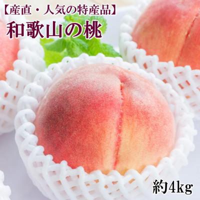 ふるさと納税 海南市 和歌山の桃　約4kg・秀品(海南市)