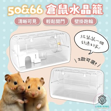 【獅子王寵物】🦁 50&66倉鼠水晶籠 透明水晶籠 全透明倉鼠籠  倉鼠籠 倉鼠別墅 倉鼠壓克力籠 倉鼠飼養箱 B070