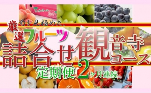 旬を見極めた、厳選フルーツ詰合せ定期便2ヶ月連続