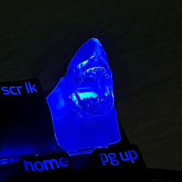 键帽, 鲨鱼, 透明, 清晰, 游戏, 键盘, 樱桃MX