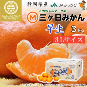 [予約 2023年 12月11日-12月17日の納品] 三ケ日みかん 早生 約 3kg 3Lサイズ 静岡県産 JAみっかび 早生 蜜柑 産地箱 冬ギフト お歳暮 御