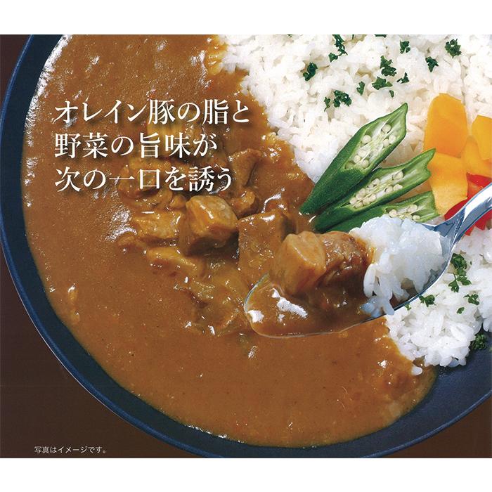 信州長野県のお土産 お惣菜レトルト 信州オレイン豚ポークカレー＆信州オレイン豚キーマカレー