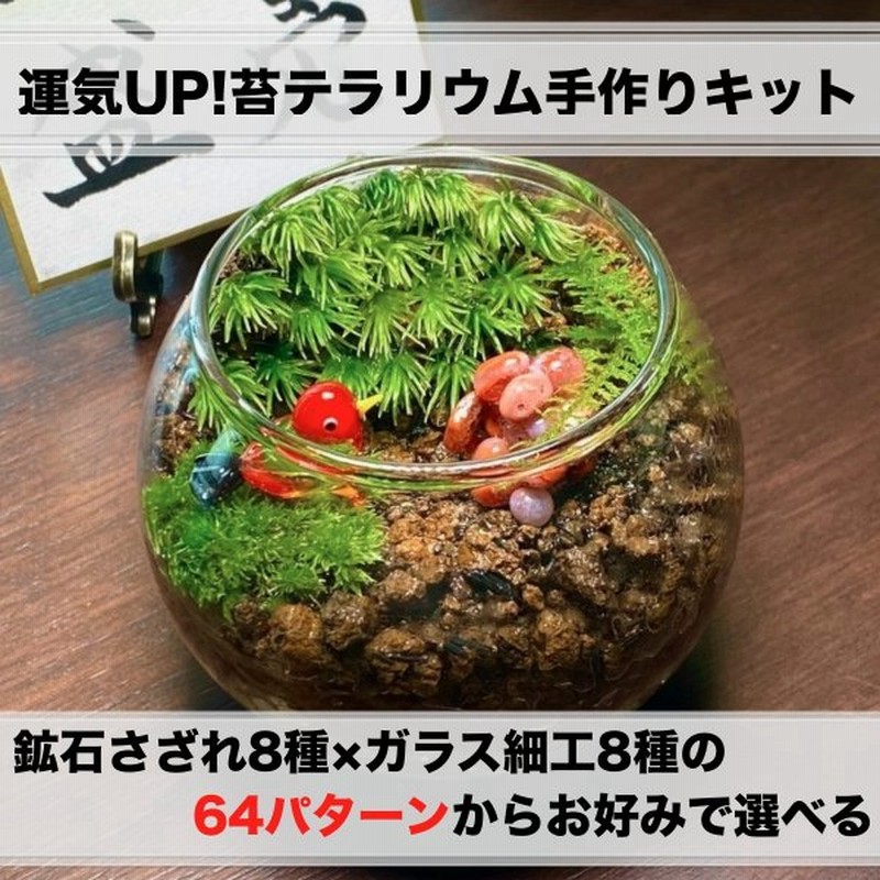 苔テラリウムキットsサイズ 選べる鉱石 ガラス細工 Diy キット 苔 テラリウムセット 手作り インテリア ハンドメイド 通販 Lineポイント最大0 5 Get Lineショッピング