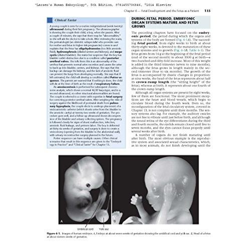 Larsen's Human Embryology