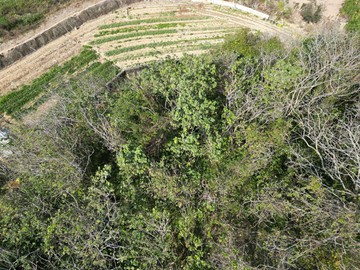苗栗造橋近交流道甲建(3.8萬/坪)｜苗栗縣造橋鄉大潭段