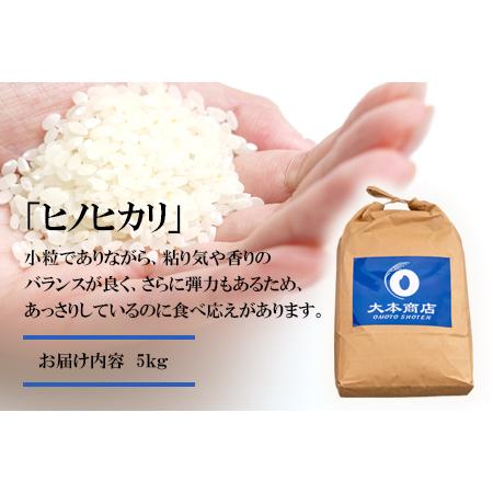 ふるさと納税 令和5年産 ヒノヒカリ 5kg 株式会社羽根《60日以内に順次出荷(土日祝除く)》熊本県産 白米 精米 ひのひかり 米 熊本県長洲町