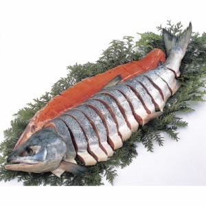 北海道雄武産 天然新巻鮭姿造り切り身