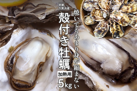 京都・久美浜産　殻付き牡蠣　5kg（50個前後）牡蠣ナイフ付