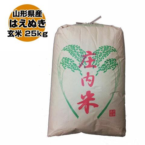 令和5年 山形県産 はえぬき 玄米 25kg(5kg×5)（送料無料）