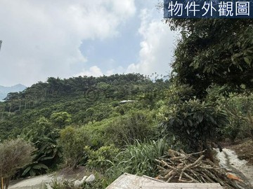 急售~新社柿柿如意景觀美農地(W)｜台中市新社區水底寮段上水底寮小