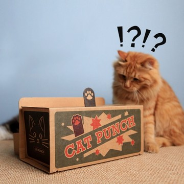 紙板貓打地鼠【寵家 Pet Home】寵家 Pet Home 貓打地鼠 貓咪打地鼠玩具 貓玩具 貓咪打地鼠