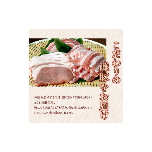 ふるさと納税 熊本県 球磨村 FKP9-137　一勝地赤豚焼肉セット（1kg）