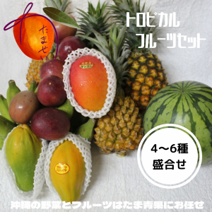 お楽しみ福袋7000円コース お任せフルーツ４~６種類  ☆送料無料☆ お歳暮に最適