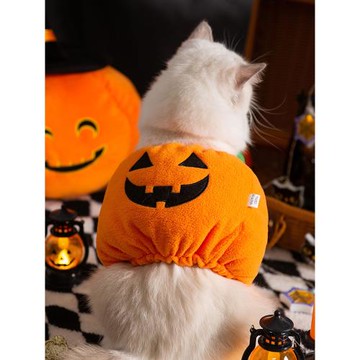 寵物貓咪萬圣節南瓜燈變身裝秋冬保暖布偶貓英短美短貓咪網紅衣服