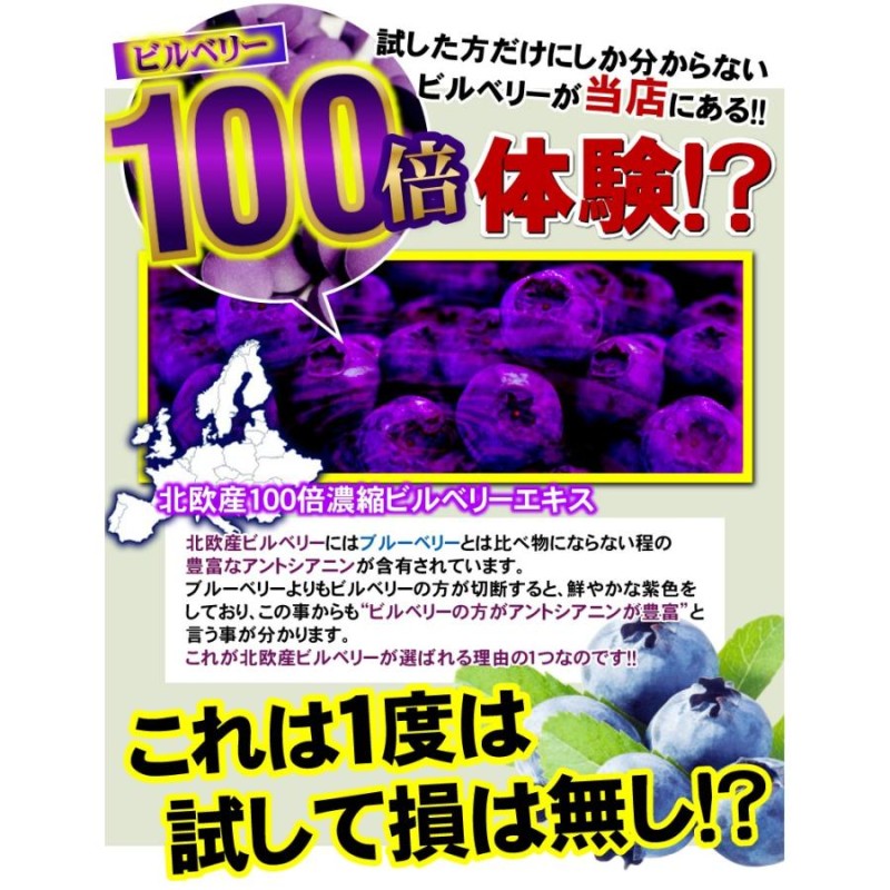 好評 100倍濃縮 ビルベリールテイン コンドロイチン 健康 サプリメント 約6ヶ月