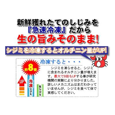 しじみ 500g しじみ 味噌汁 ギフト 北海道 網走湖産 砂抜き済 しじみ汁 お取り寄せ グルメ オホーツク 網走 プレゼント 誕生日祝 御祝 御礼 内祝