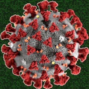 Hacking COVID-19 — Course 5: Tracing SARS-CoV-2's Evolution