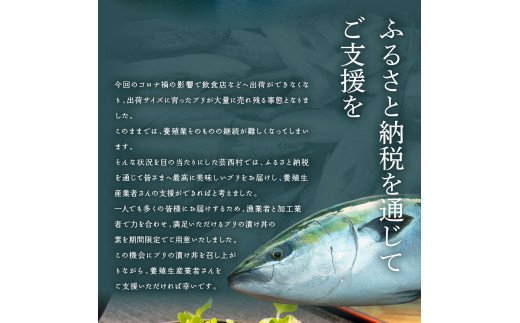 海鮮「ブリの漬け丼の素」1食80g×5P＋「訳ありカツオのたたき」600g以上《迷子のブリを食べて応援 養殖生産業者応援プロジェクト》／「ブリの漬け丼の素」と人気「訳ありカツオのたたき」緊急支援 惣菜 そうざい〈高知市共通返礼品〉