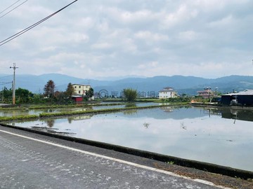 淑寬關注》員山鄉鼻仔頭大面寬足坪美農地｜宜蘭縣員山鄉鼻仔頭段