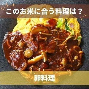 新米 おきたま興農舎産つや姫 山形県高畠町産 特別栽培米 令和5年産 尾形米穀店セレクション白米 (5kg×2)